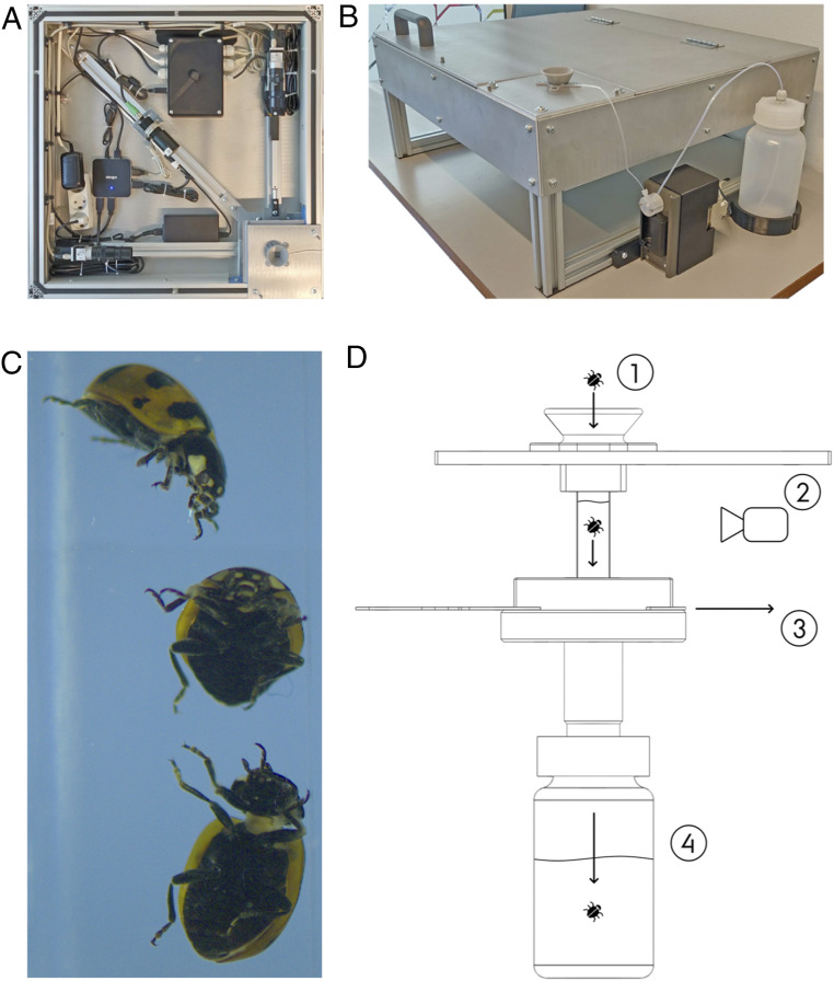 Fig. 3.