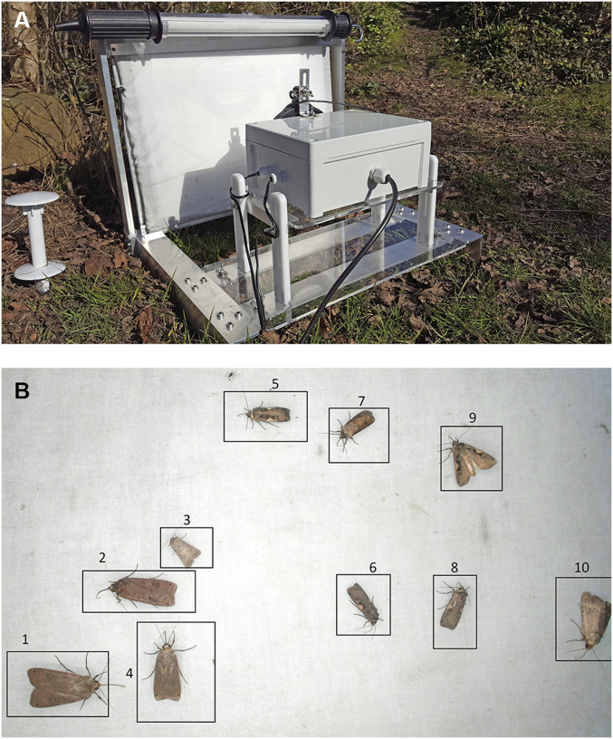 Fig. 2.