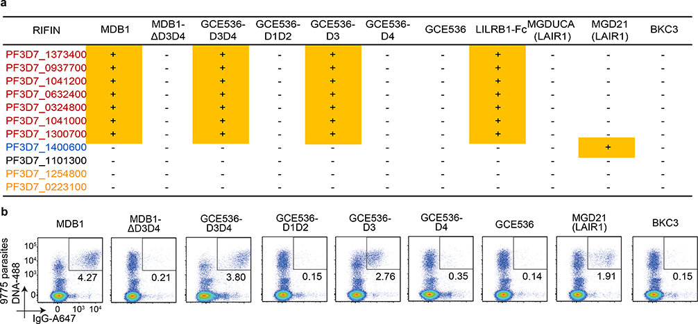 Fig. 3 |