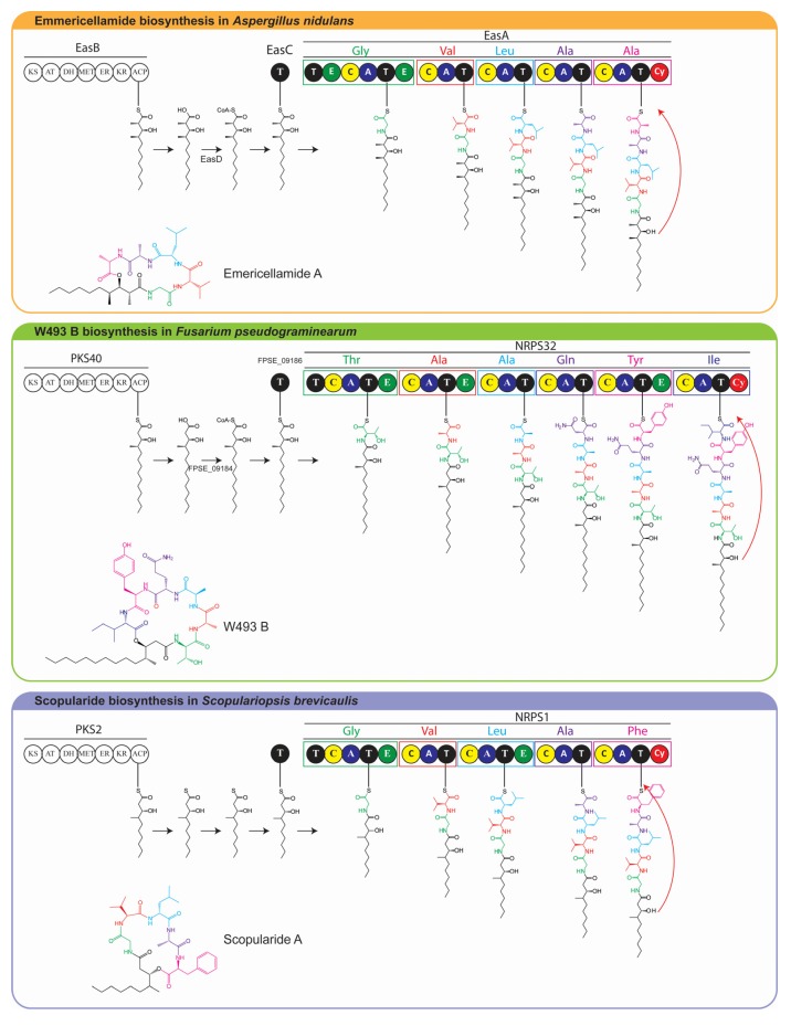 Figure 5