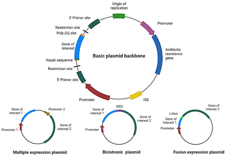 Figure 2