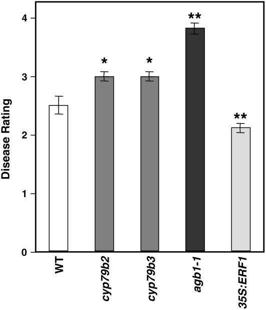 Figure 7.