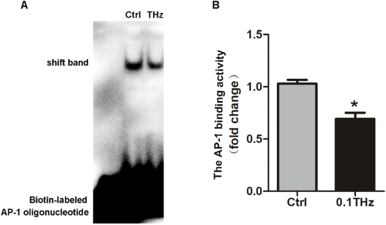 Fig. 9.