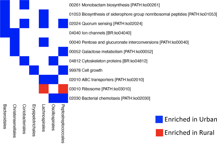 FIG 6