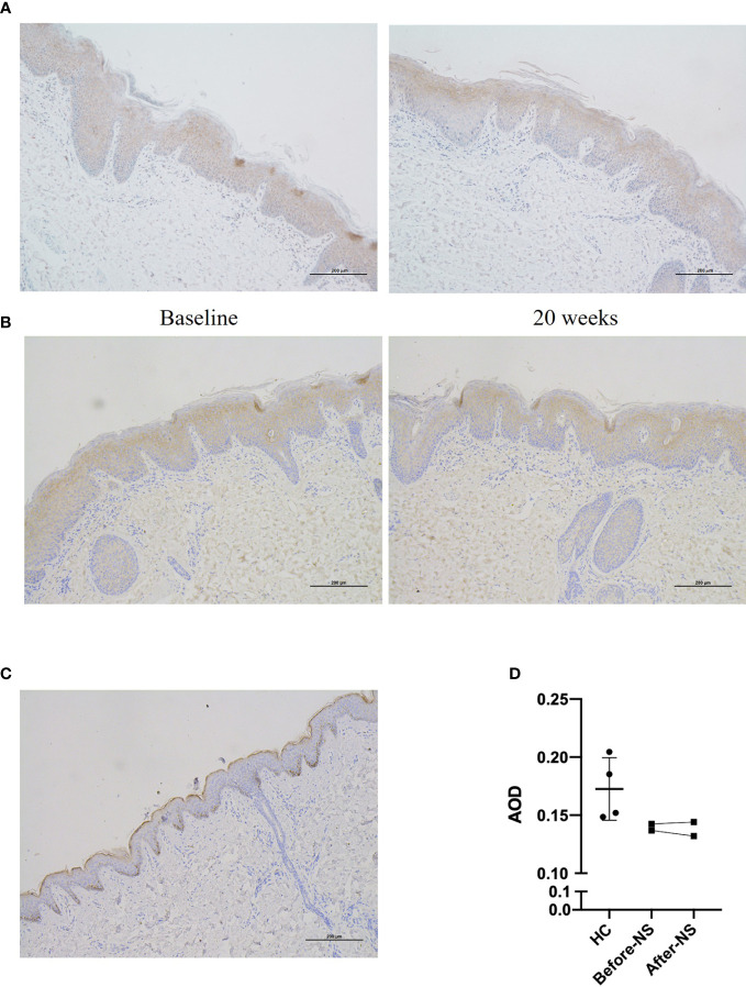 Figure 4