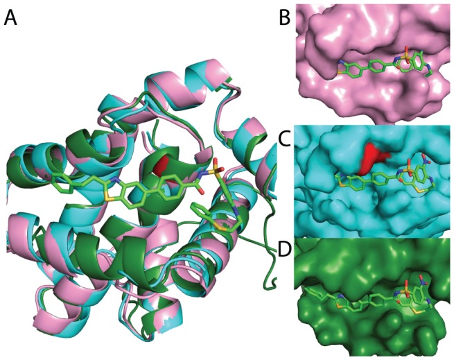 Figure 4