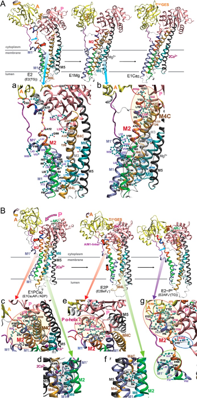 FIGURE 10.