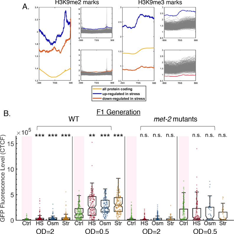 Figure 6—figure supplement 1.