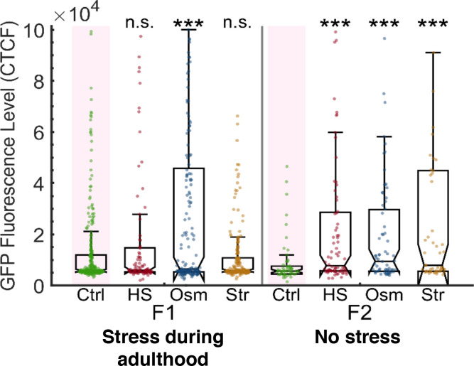 Figure 1—figure supplement 4.