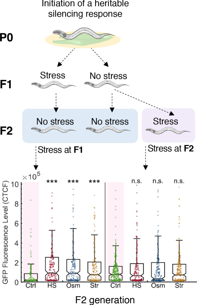 Figure 1—figure supplement 5.