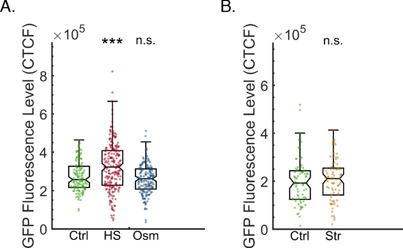 Figure 1—figure supplement 2.