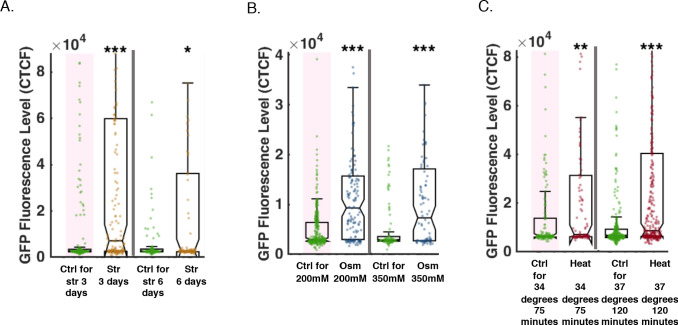 Figure 1—figure supplement 1.