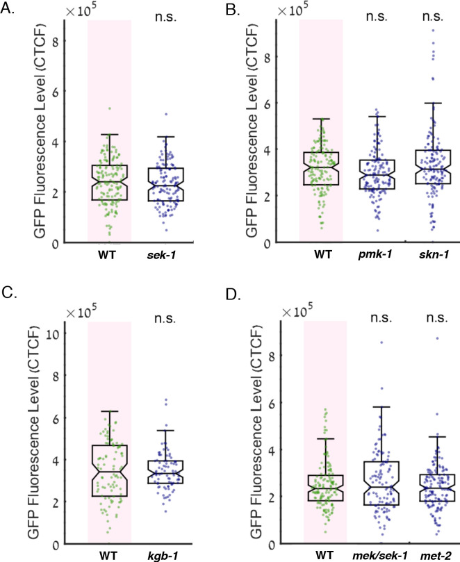 Figure 5—figure supplement 3.