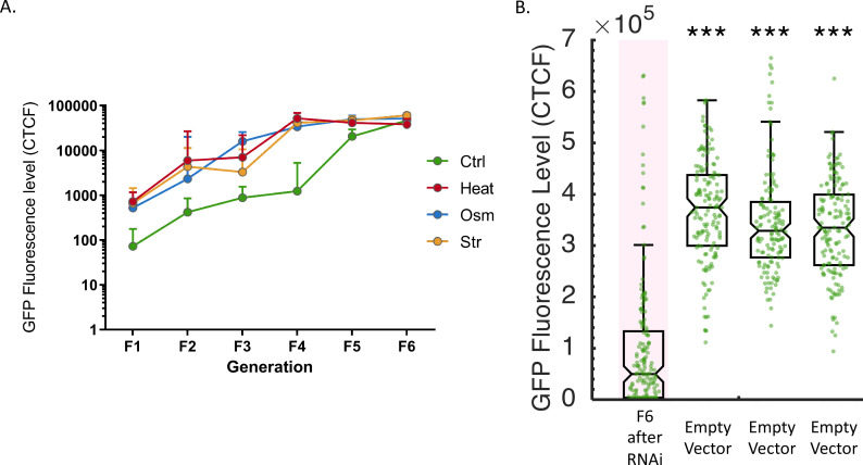 Figure 1—figure supplement 3.