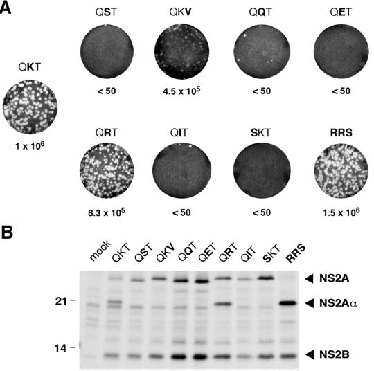 FIG. 6.