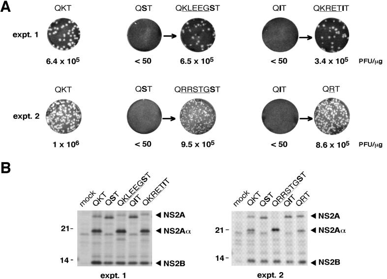 FIG. 7.