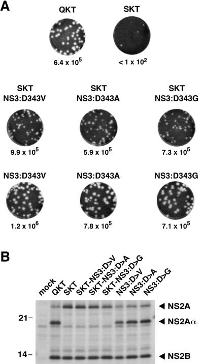 FIG. 8.