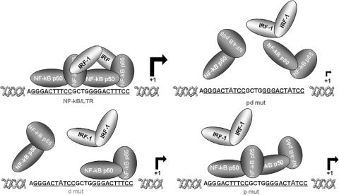 FIG. 6.