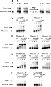 FIGURE 4.