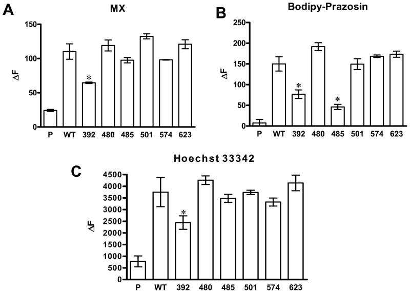 Figure 4