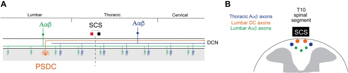 Fig. 11.