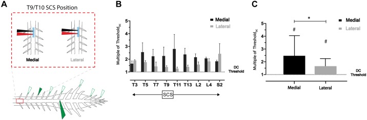 Fig. 9.