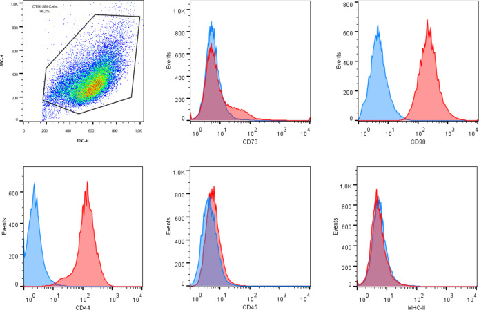 Figure 2