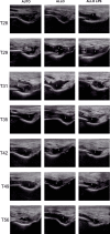 Figure 5
