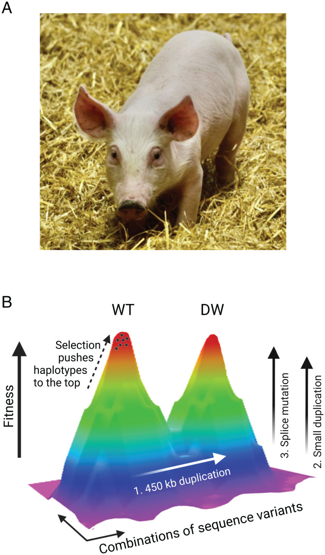 Fig. 3.