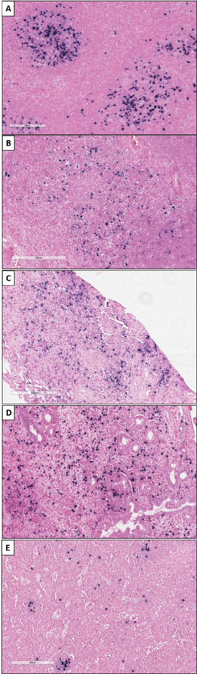 Figure 2: