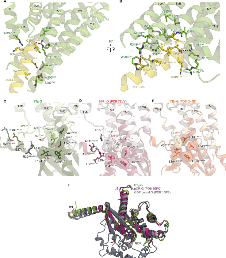 Figure 3—figure supplement 1.