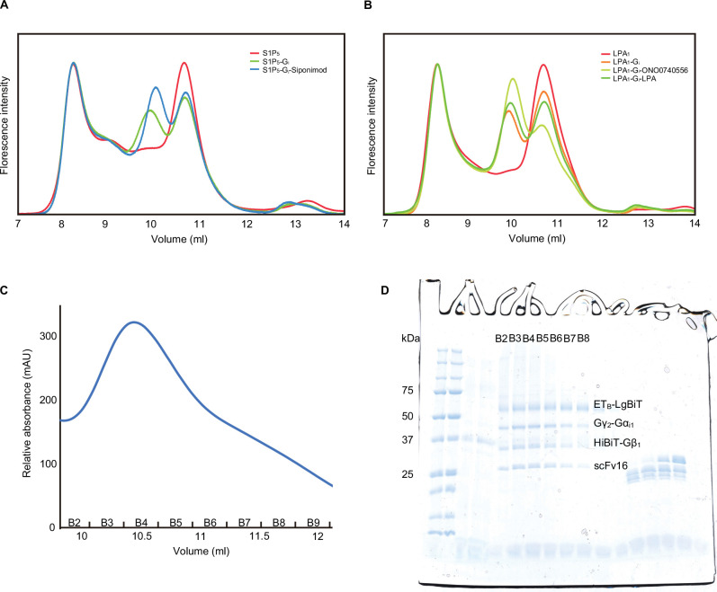 Figure 1—figure supplement 1.