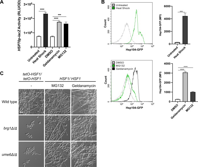 FIG 4