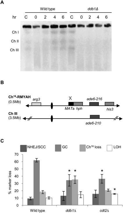 Figure 2.