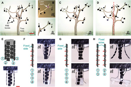 Fig. 4