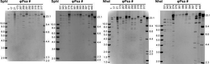 FIG 3