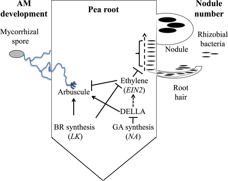 Fig. 9.