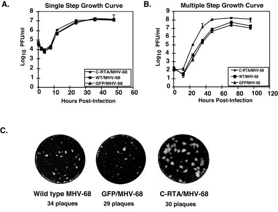 FIG. 2.