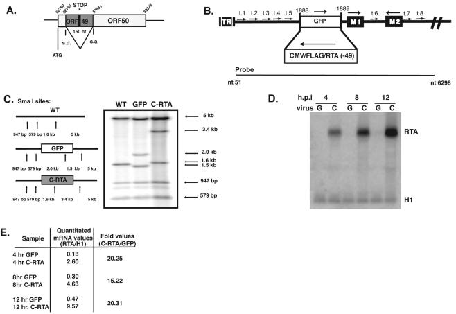 FIG. 1.