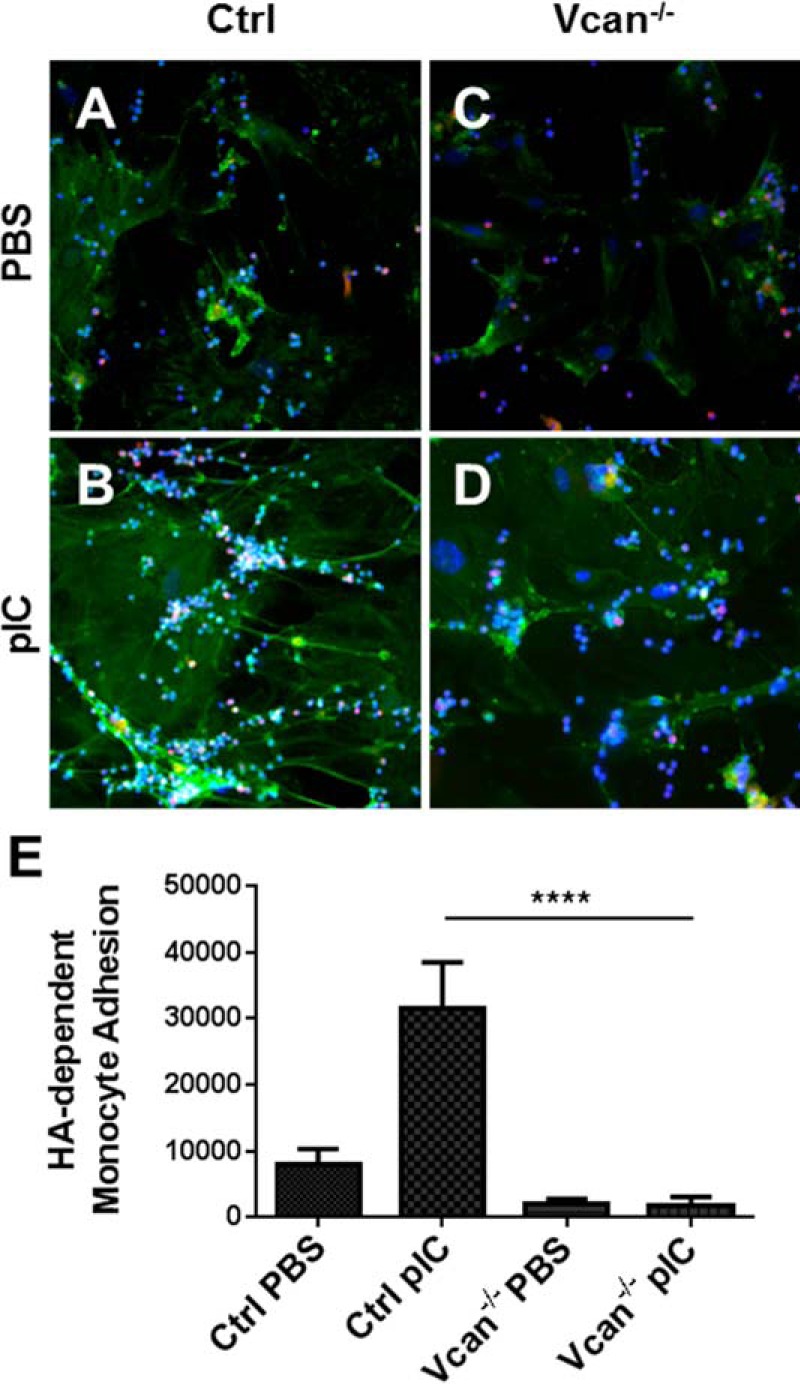 FIGURE 10.