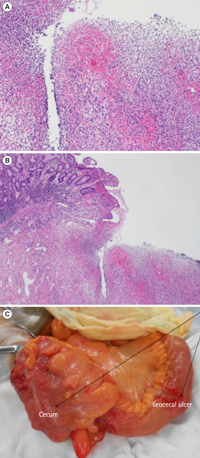 Fig. 2.