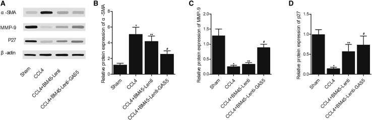 Figure 6