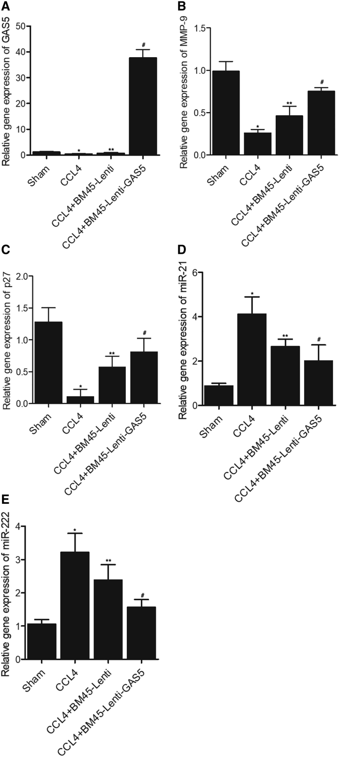 Figure 5