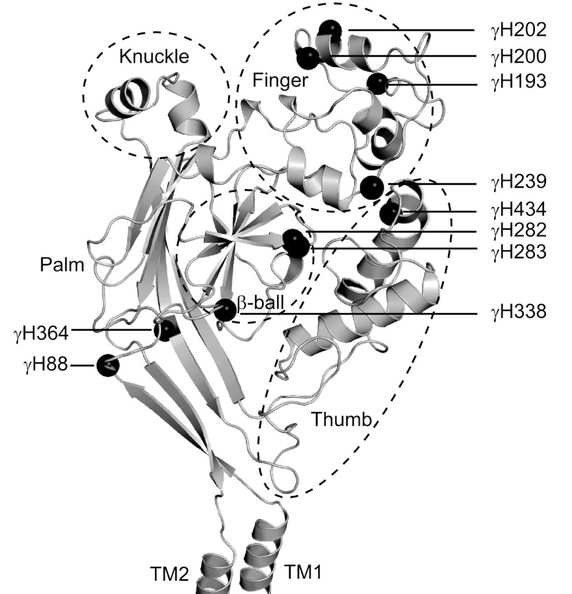 FIGURE 2.