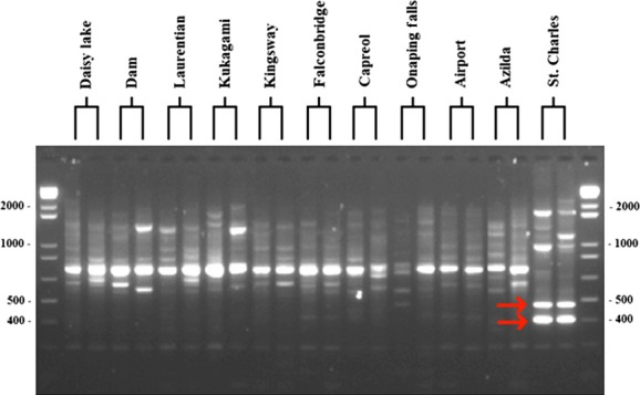 Figure 5