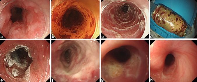 Fig. 4