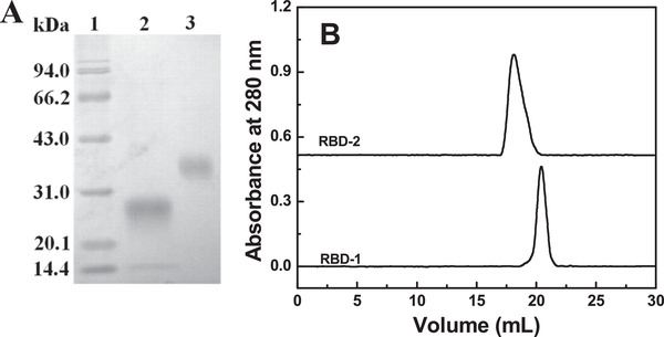 FIGURE 3