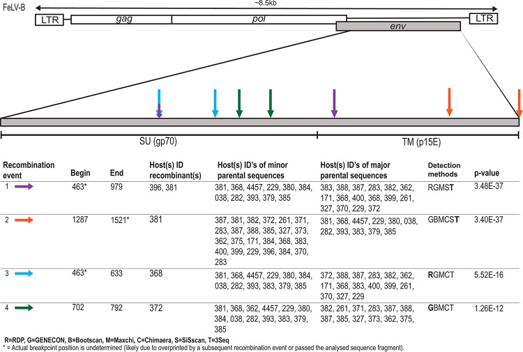 FIG 2