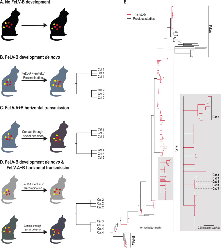 FIG 1