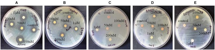 FIGURE 1